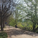 Cede la balaustra, donna cade sulle rive del fiume: per aiutarla, il marito finisce nel Po