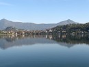 Avigliana, tartarughe infette nel Lago Grande: rischio Salmonella per l’uomo