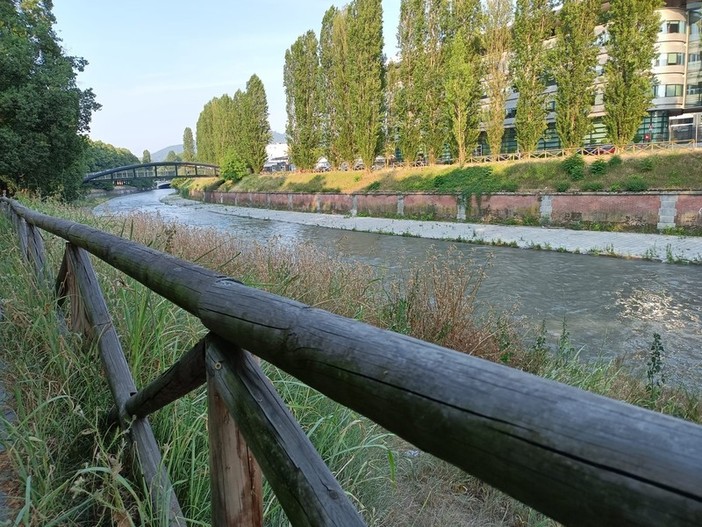 Meno auto e più alberi: parte il test per un Lungo Dora pedonale e verde Meno auto e più alberi: parte il test per un Lungo Dora pedonale e verde