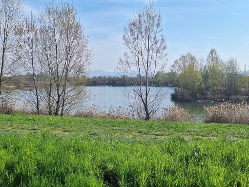 Iniziativa a Falchera legata alla natura