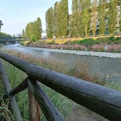 Meno auto e più alberi: parte il test per un Lungo Dora pedonale e verde Meno auto e più alberi: parte il test per un Lungo Dora pedonale e verde