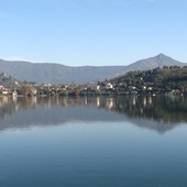 Avigliana, tartarughe infette nel Lago Grande: rischio Salmonella per l’uomo