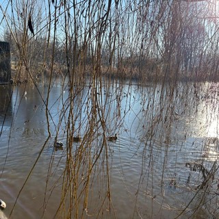 Piazza d'Armi Piazza d'Armi