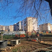 Moncalieri, iniziati i lavori di riqualificazione dell'area cani di via Ada Negri