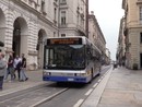 Niente prolungamento del 19. Gtt “boccia” il capolinea di Piazzale Marco Aurelio