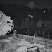 Un fermo immagine delle riprese effettuate dalle telecamere di sicurezza Un fermo immagine delle riprese effettuate dalle telecamere di sicurezza