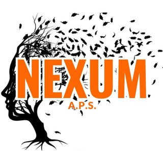 Nexum, logo ufficiale dell'A.P.S. e progetto grafico di Appino Martina