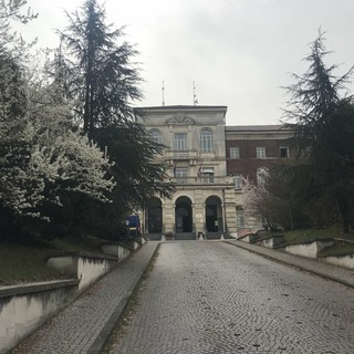 Ad Alpignano, l'omaggio dedicato al Liceo Darwin di Rivoli