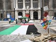 Manifestazione Pro Pal nel centro di Torino