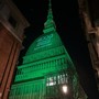 Mole illuminata di verde (immagine di repertorio)
