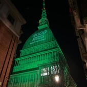 Mole illuminata di verde (immagine di repertorio)
