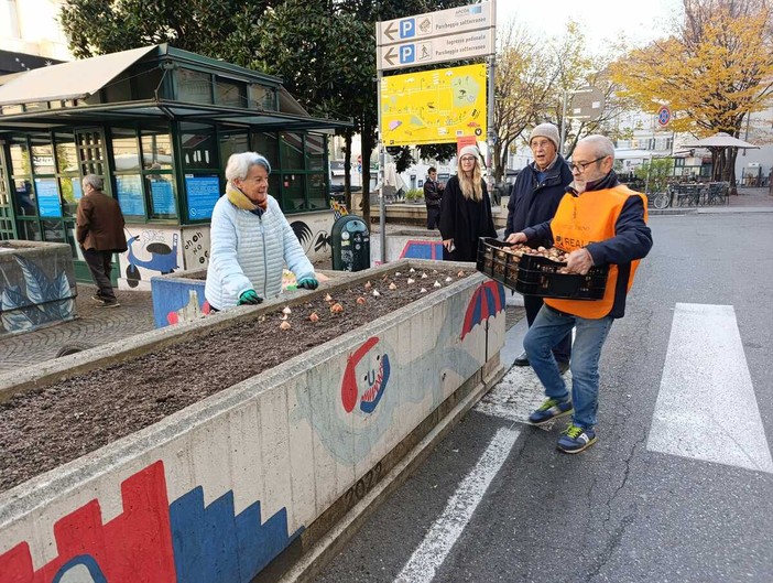 Messer Tulipano nel centro di Torino