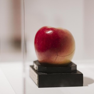A Miradolo un laboratorio che porta la pittura dentro le sale del Castello