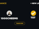Quali sono le migliori meme coin da acquistare su Binance Smart Chain oggi. Test e Cheems?