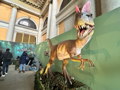 Dal Tirannosauro allo Spinosauro: a Porta Nuova sono tornati i Dinosauri