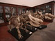 Una immagine del Museo Regionale di Scienze Naturali