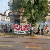 manifestanti alberi di corso belgio