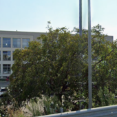 La sede di Rivoli della Magna La sede di Rivoli della Magna