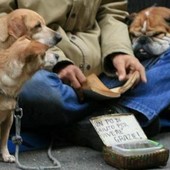 A Falchera un aiuto per i senza tetto con animali domestici
