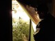 Un carabiniere osserva una piantagione di marijuana fatta in casa