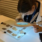 Digitalizzazione dei reperti del Museo Egizio