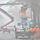 Con padelle e cucchiai in corso Belgio, il Comitato blocca il taglio degli alberi