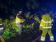 Alberi abbattuti, cassonetti rovesciati: il maltempo presenta il conto a Nichelino Alberi abbattuti, cassonetti rovesciati: il maltempo presenta il conto a Nichelino