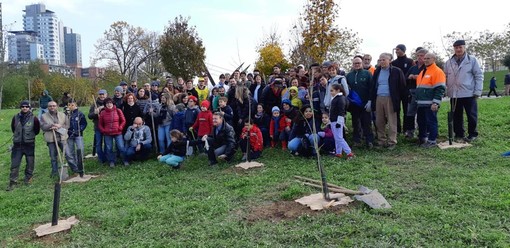 &quot;Mille alberi per Torino&quot;: più di 70 persone per fare più verde il Parco Dora