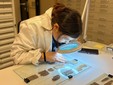 Digitalizzazione dei reperti del Museo Egizio