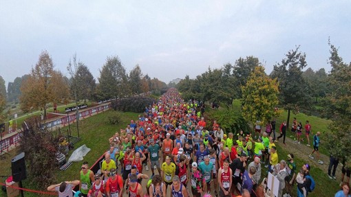 Sciame di calabroni imperversa a La Mandria durante la maratona