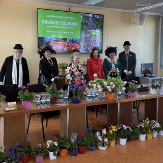 Dal Princess Elizabeth al Queen of the night, i tulipani tornano a invadere Pralormo