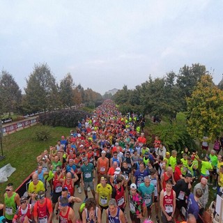 Sciame di calabroni imperversa a La Mandria durante la maratona