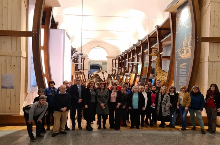 Al Museo di Scienze Naturali una mostra dedicata al cemì di cotone Al Museo di Scienze Naturali una mostra dedicata al cemì di cotone