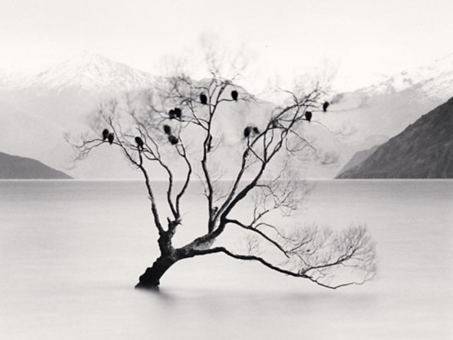 [Photo credits: Michael Kenna - Wanaka Lake Tree, Study 2, Otago, New Zealand, 2013]