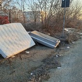 La scoperta fatta dai carabinieri della Forestale