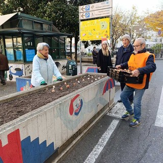 Messer Tulipano nel centro di Torino