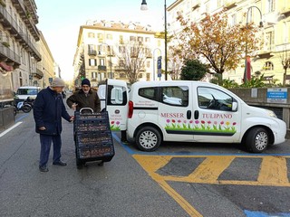 Messer Tulipano nel centro di Torino
