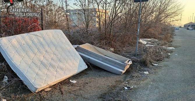 La scoperta fatta dai carabinieri della Forestale