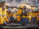 I Minions sono pronti a conquistare Torino arrampicandosi sulla Mole I Minions sono pronti a conquistare Torino arrampicandosi sulla Mole