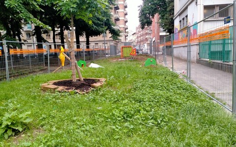 Nuove idee per le aiuole del giardino Alimonda
