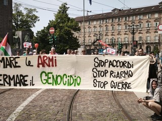 Manifestazione Pro Pal nel centro di Torino