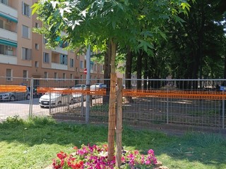 Nuove idee per le aiuole del giardino Alimonda