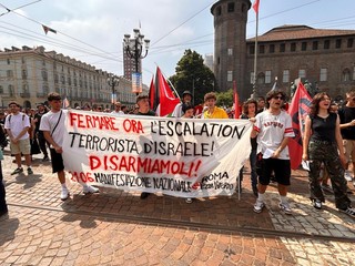 Manifestazione Pro Pal nel centro di Torino