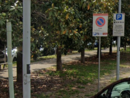 viale alberato Nizza Millefonti