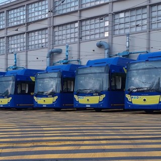 autobus gtt - foto di repertorio