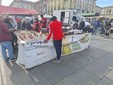 Nonna Maria al mercato di Porta Palazzo