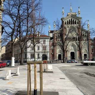 Nuovi tigli in piazza Benefica Nuovi tigli in piazza Benefica