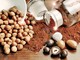 Nocciole, Coldiretti Piemonte lancia l'allarme: &quot;Storico crollo dei raccolti&quot;