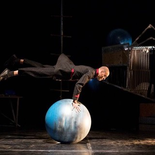 Il circo contemporaneo di Nice Festival approda al Palaexpo di Moncalieri