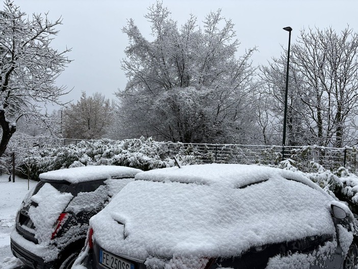Da Pino a Rivoli a Bardonecchia, neve sul Torinese